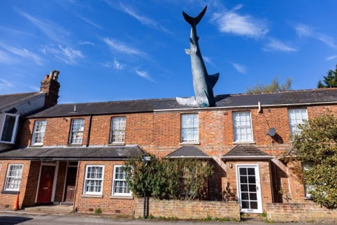 Headington Shark