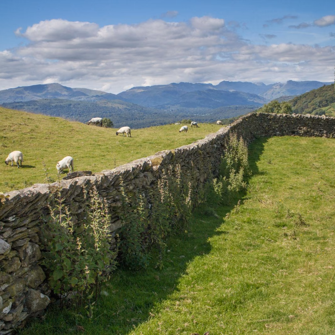 Shap Fell